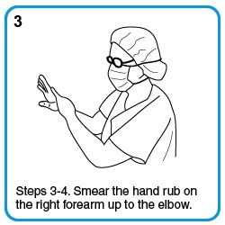 Steps 3-4. Smear the hand rub on the right forearm up to the elbow.