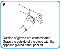 Outside of gloves are contaminated. Grasp the outside of the glove with the opposite gloved hand; peel off.