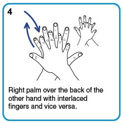 Right palm over the back of the other hand with interlaced fingers and vice versa